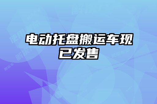 電動(dòng)托盤(pán)搬運(yùn)車現(xiàn)已發(fā)售