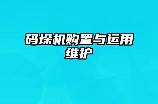 碼垛機(jī)購置與運(yùn)用維護(hù)