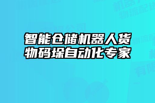 智能倉(cāng)儲(chǔ)機(jī)器人貨物碼垛自動(dòng)化專(zhuān)家