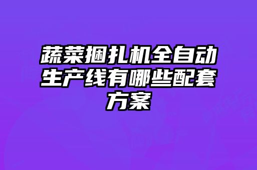 蔬菜捆扎機(jī)全自動(dòng)生產(chǎn)線(xiàn)有哪些配套方案