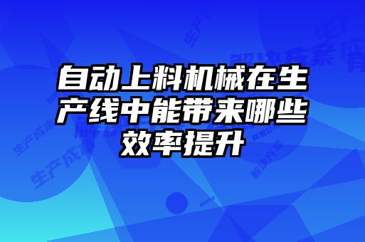 自動(dòng)上料機(jī)械在生產(chǎn)線中能帶來(lái)哪些效率提升