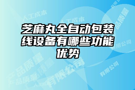 芝麻丸全自動包裝線設備有哪些功能優(yōu)勢