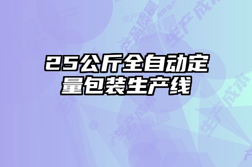 25公斤全自動(dòng)定量包裝生產(chǎn)線(xiàn)